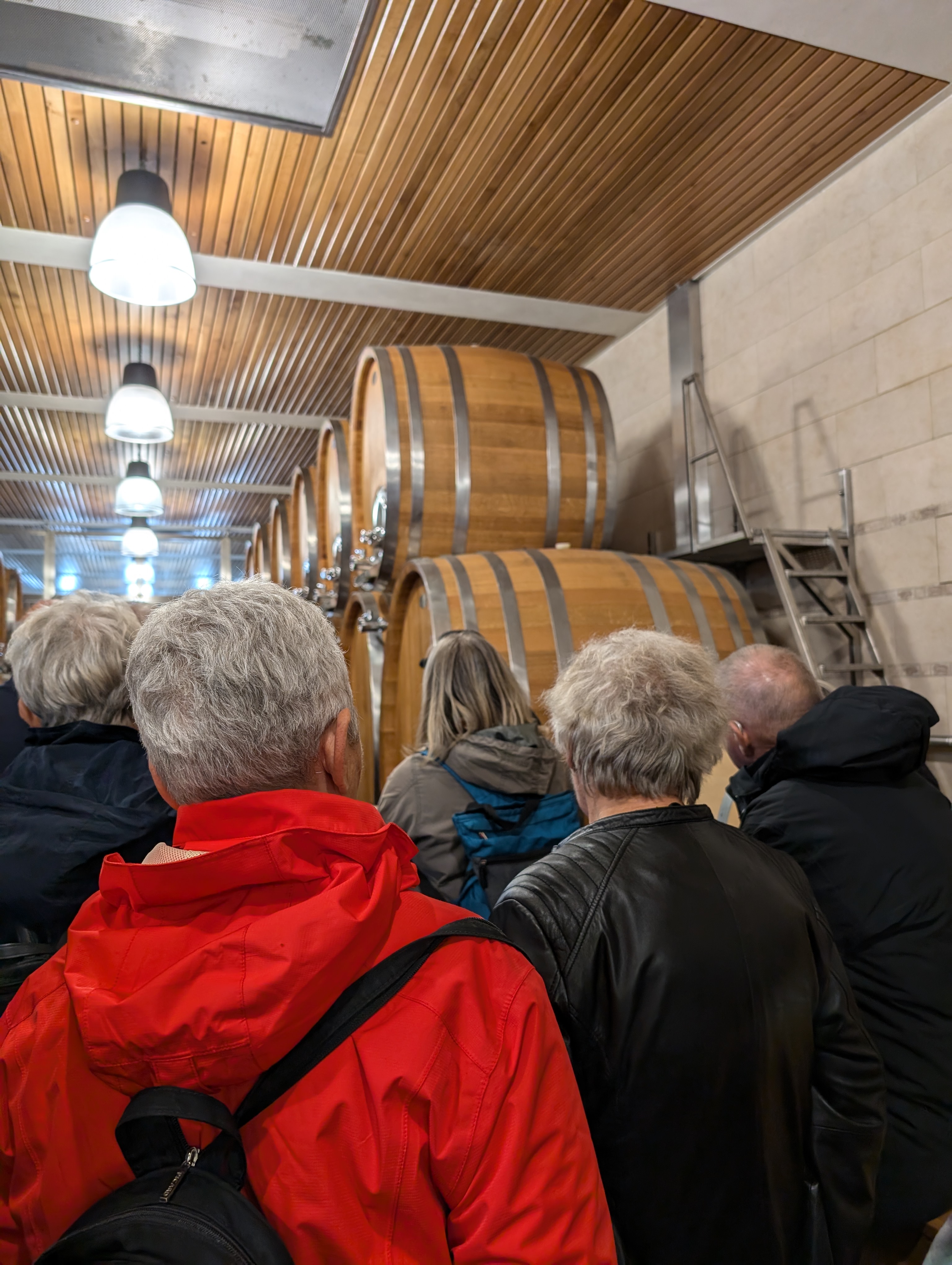 Führung durch das Weingut Weingut Johann W in Třebívlice