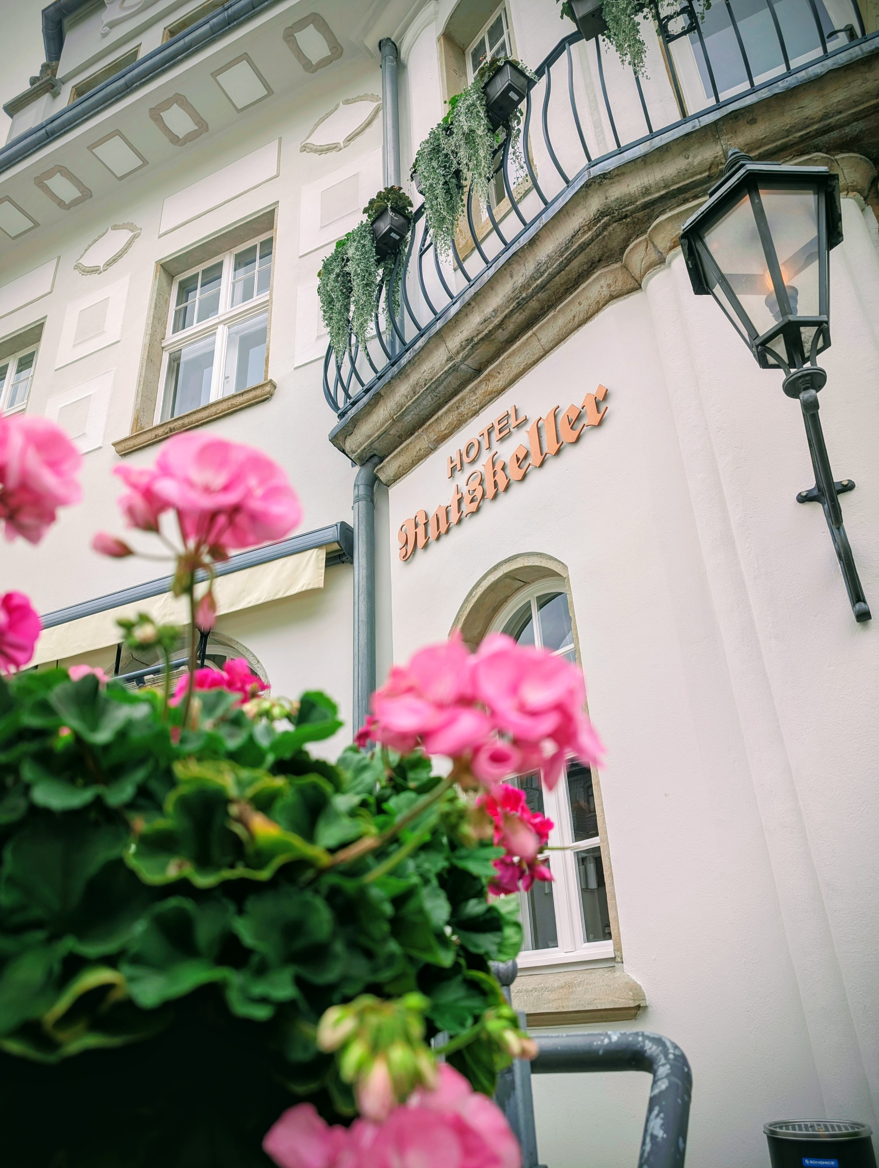 Gebäude mit der Aufschrift "Hotel Ratskeller". Im Vordergrund dekorative Blumen.
